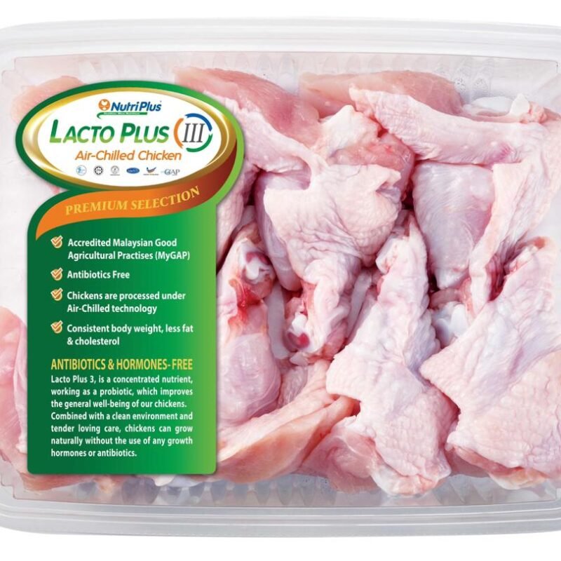 Nutriplus Lacto Plus 111 ABF Chicken Drummet