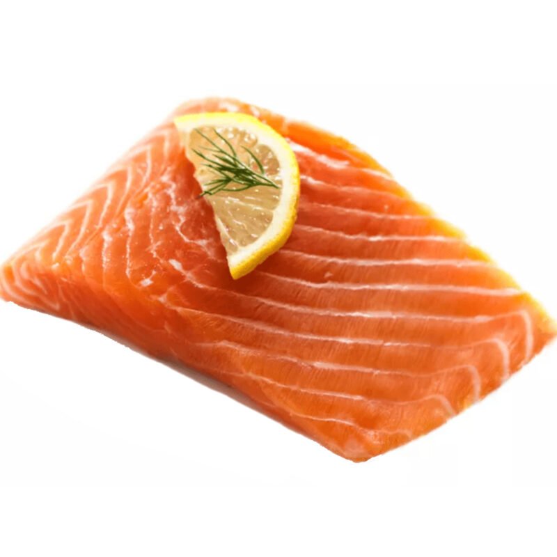 Fresh Norwegian Fjord Trout Fish Fillet