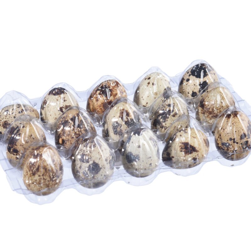 LKH Quail Eggs