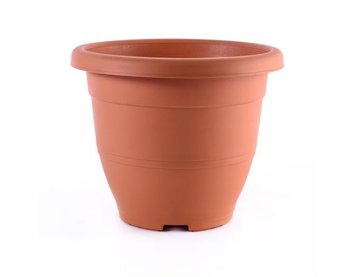 Baba Pot Cotta (BI-EG-260)
