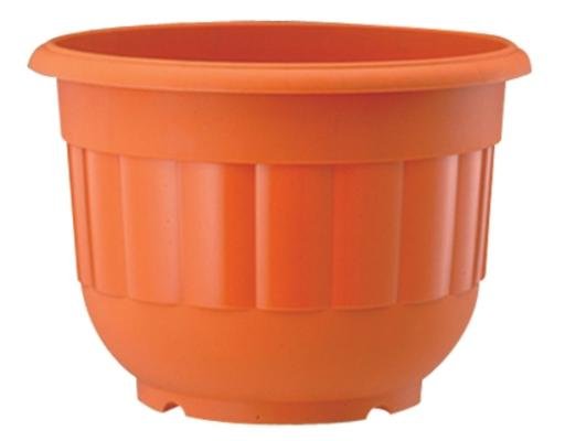 Baba Pot Cotta (BI-2016)